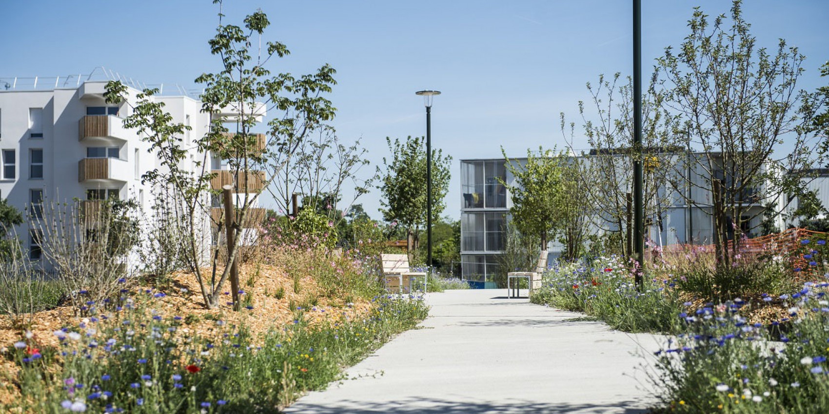 Eco-quartier des Sécheries